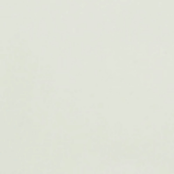 Avery Dennison SWF 110 v3 Matt White vehicle wrap colour swatch