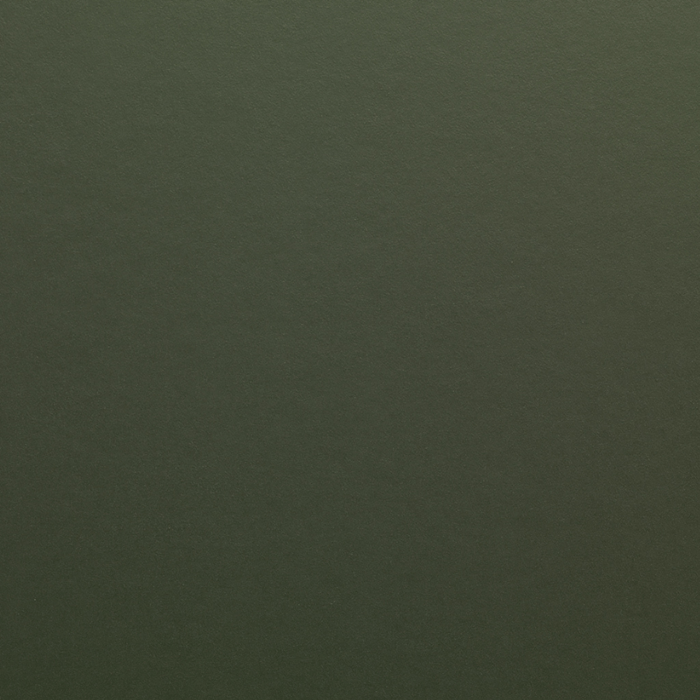Avery Dennison SWF 162 v3 Matt Olive Green vehicle wrap colour swatch