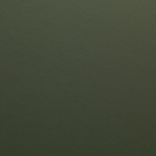 Avery Dennison SWF 162 v3 Matt Olive Green vehicle wrap colour swatch